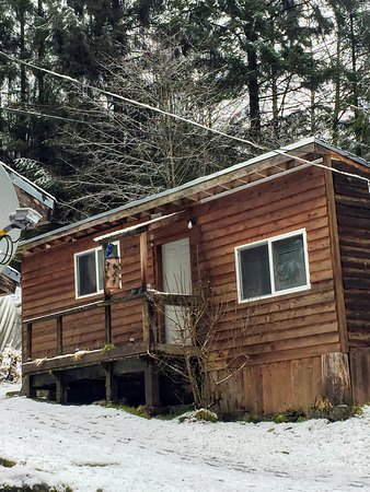 Hollis Creek Cabin