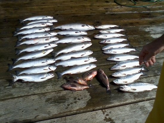 Clover Bay Lodge