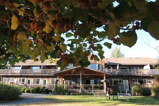 Kiwi Cove Lodge