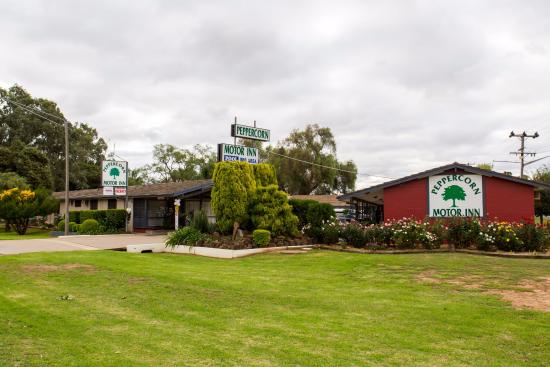 Peppercorn Motor Inn