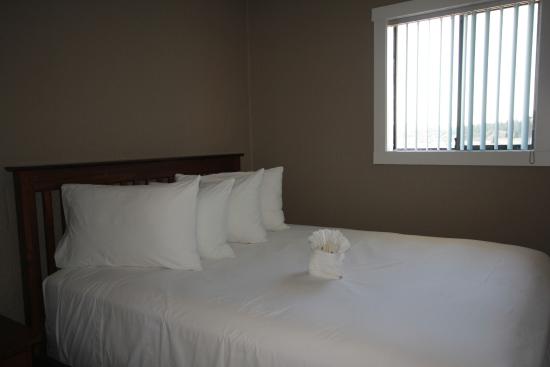 City Centre Suites