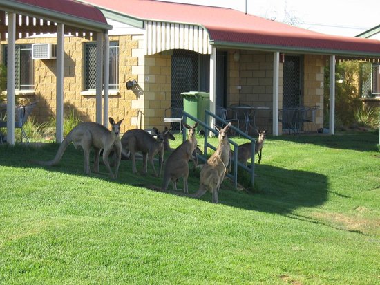 Explorers Caravan Park