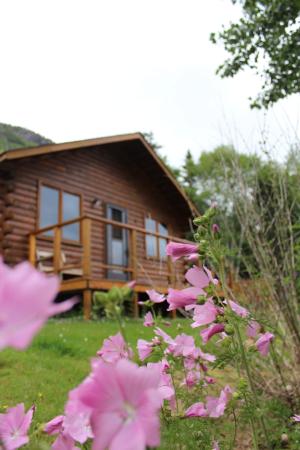 Windamere Cabins