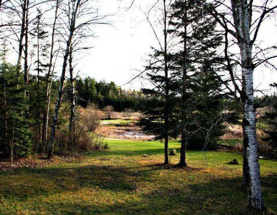 Willows RV Park & Campground