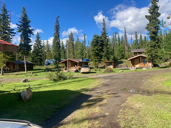 Escott Bay Resort