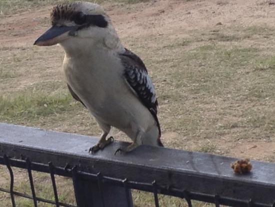 Mount Garnet Travellers Park