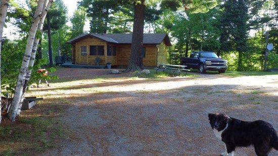 Sleepy Dog Cabins