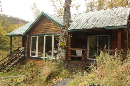 Munsey's Bear Camp