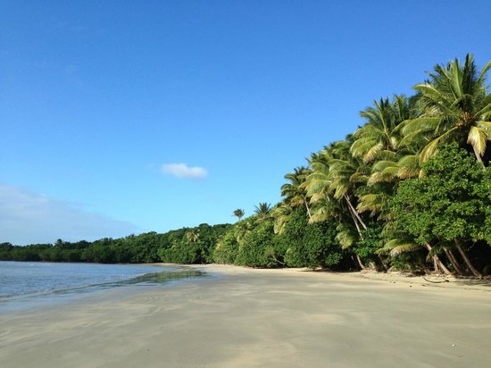 Cape Tribulation Camping