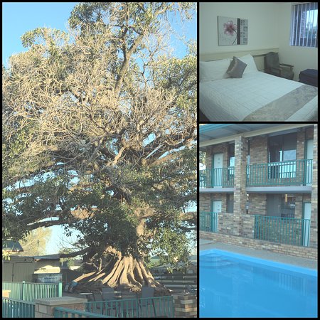 Fig Tree Motel