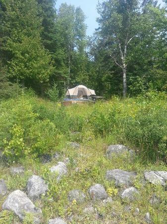 Hog Island Point State Forest Campground