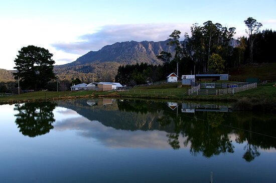 Paradise Road Farm
