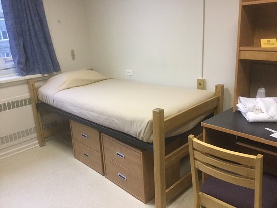 Dalhousie University