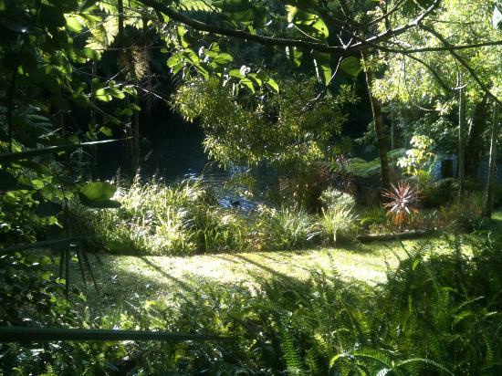 The Pond Cottage B&B