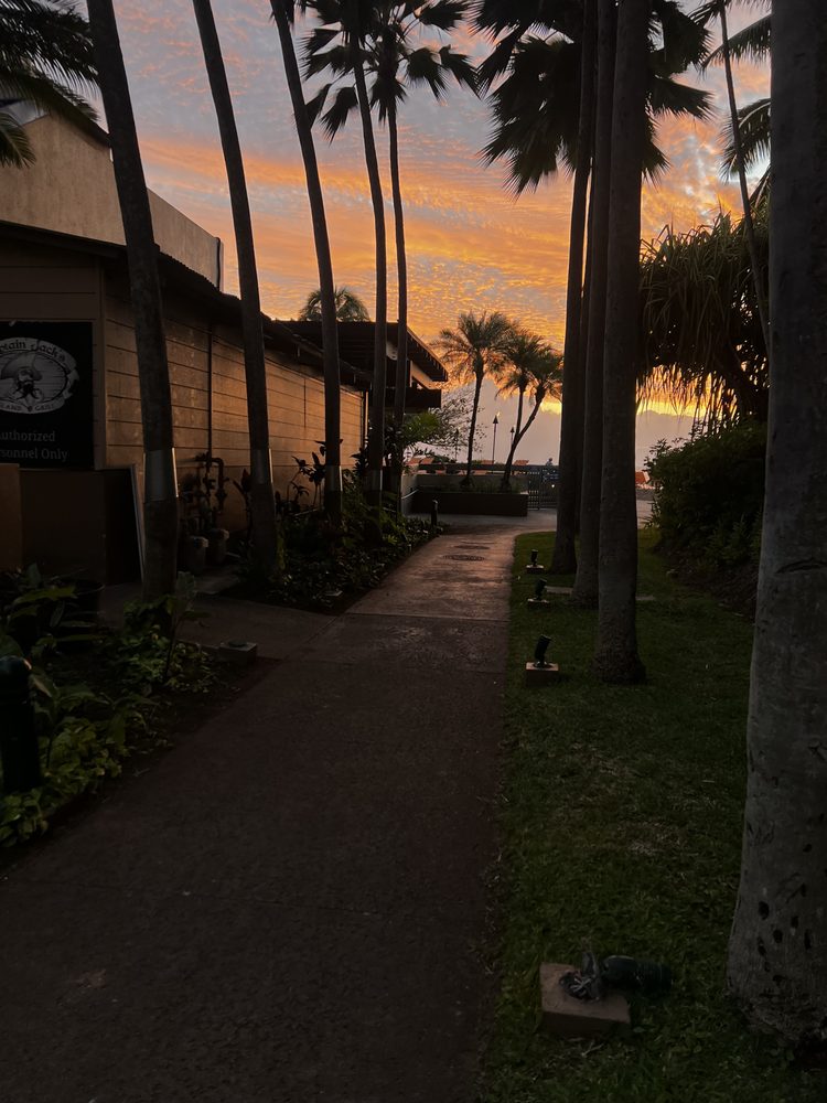 Captain Jack's Island Grill