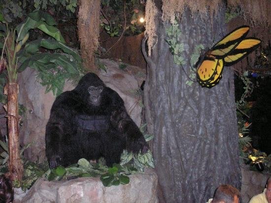 Rainforest Cafe